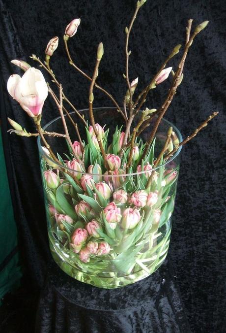 Composizioni di tulipani