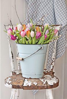Composizioni di tulipani