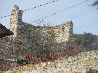 Noli, sentinella del mare