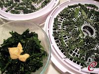 Chips di cavolo nero alla crema di anacardi: scoperte, regressioni e tecniche di benessere