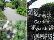 Alnwick Garden: giardino delle piante velenose
