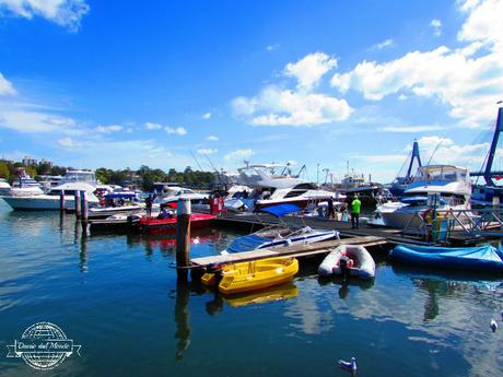 Il Sydney Fish Market