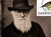 Darwin