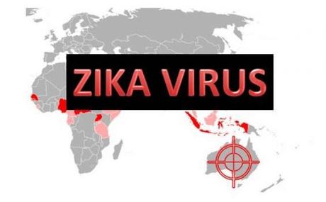 Il problema del virus Zita