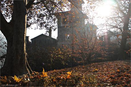 Il Parco del Valentino è il Paese delle Meraviglie.