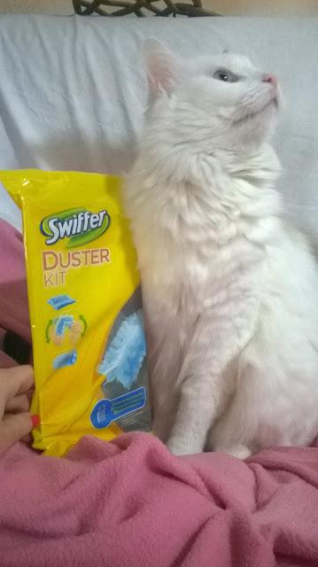 Un aiuto in casa con Swiffer contro polvere e peli