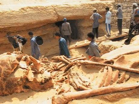 Sull'esistenza passata di giganti sulla terra