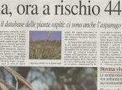 Xylella febbraio 2016