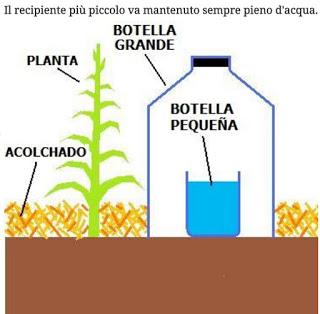 Ecco Una Tecnica Ingegnosa Per Irrigare Le Piante Risparmiando Molta Acqua