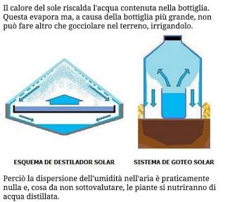 Ecco Una Tecnica Ingegnosa Per Irrigare Le Piante Risparmiando Molta Acqua