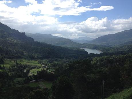 Hill Valley, la dolce valle del tè dello Sri Lanka