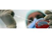 Allarme Zika: bambino prima vittima virus Svizzera?