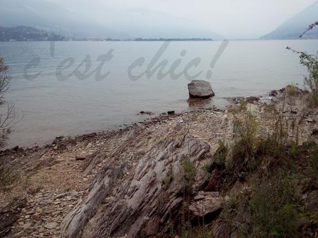 L'ARTE DI STAR ZITTI