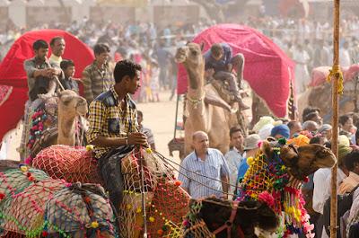 Rajastan 19 - I volti di Pushkar