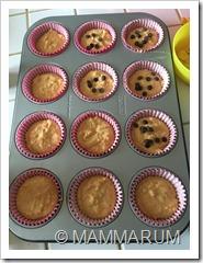 Muffin alle carote vegan