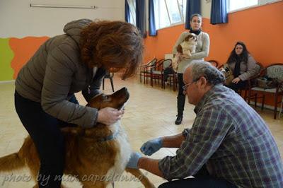 CHIP DAY a Positano