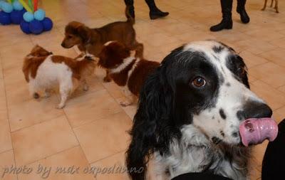 CHIP DAY a Positano