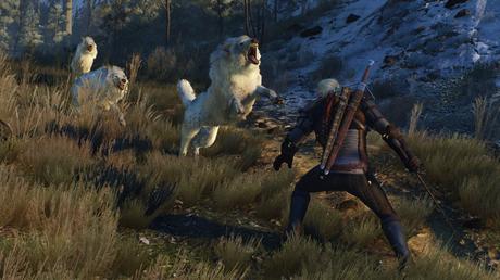 Spuntano possibili dettagli inediti su The Witcher 3: Blood and Wine