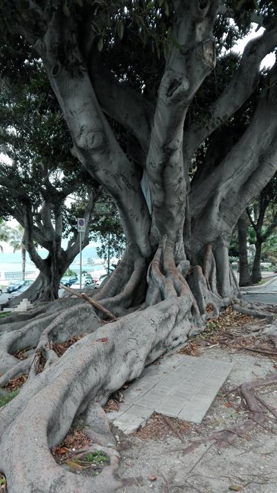 ReggioCalabria_viaggiandovaldi