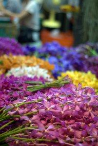 Il mercato dei fiori di Bangkok (foto di Patrick Colgan, 2015)