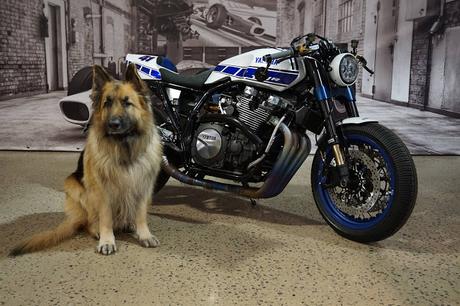 Yamaha XJR 1300 Yard Built 2016 by Yamaha Klein