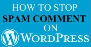 How To Stop Spam Comments In WordPress