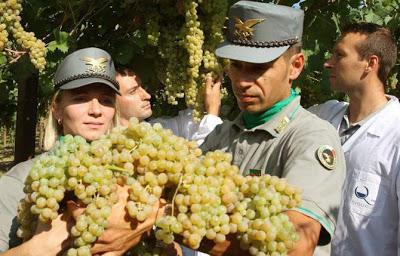 ROMA. Coldiretti ed Eurispes, la black list in materia di frodi dai ristoranti al pane.