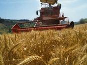 ROMA. studio della Coldiretti Eurispes mappa criminalità territorio nord.