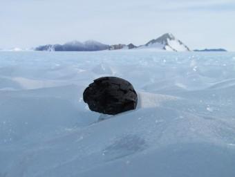 antarctic-meteorite