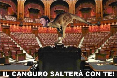 canguro senato