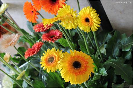 Il Mercado da Ribeira: il food market di Lisbona.