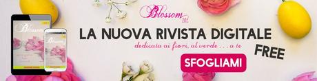 Sfondi per PC primaverili Blossom zine