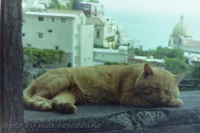 Buon Giorno Amici miei ... Filippo ... Un amico dell'anno...