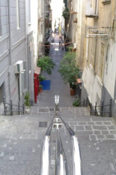 12714112_1564209837237502_1310102631_n