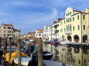 cose vedere Chioggia, incluso Gato Ciosa"