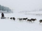 Angerberg, visioni innevate Tirolo senza tempo