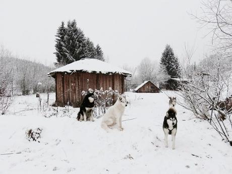 Angerberg, visioni innevate di un Tirolo senza tempo