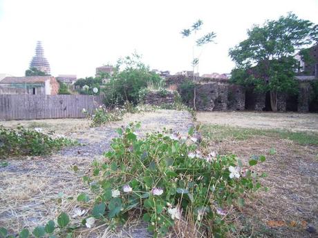 Tutti i vantaggi del curare un orto o un giardino