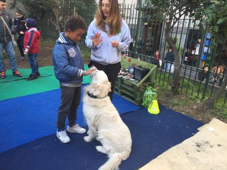 Un’area per Cani nel cortile di Santa Chiara a Napoli