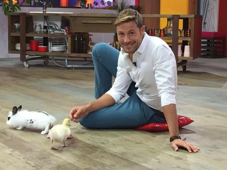 @RAIDue. CRONACHE ANIMALI – Adottati 50 cani con il programma di Rai 2.