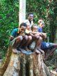 Tra frodi e deforestazione, la Papua Nuova Guinea diventa il primo esportatore mondiale di legname