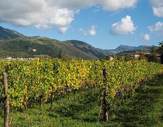 L'Amarone della Valpolicella sbarca a Bologna