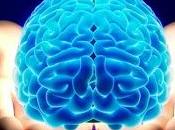 Come sono legati cervello sensi