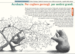 Book & Babies [Novità]:Orecchio Acerbo presenta Piccola Orsa di Jo Weaver