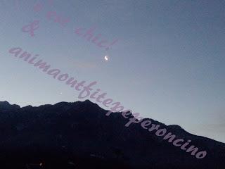 Il pensiero di oggi...