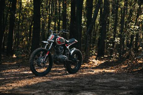 Ducati Scrambler 250 