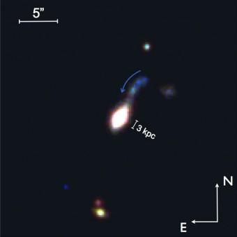 Immagine a colori di una delle galassie compatte, osservate con il VST, a redshift z=0.26 (cui corrisponde una distanza di circa 3 miliardi di anni luce). Si coglie il dettaglio dell’interazione della galassia compatta con una piccola compagna vicina di colore blu che nell’interazione si sta dissolvendo in più pezzi. (Crediti: Nicola Napolitano / AstroWISE)