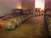 Coldiretti, dietrofront dell'Europa: vino italiano salvo