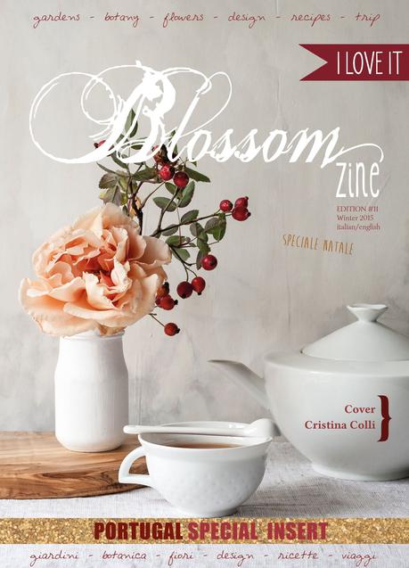 Come nasce una rivista .Blossom zine.  La scelta della copertina