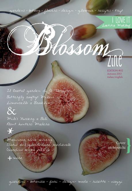 Come nasce una rivista .Blossom zine.  La scelta della copertina